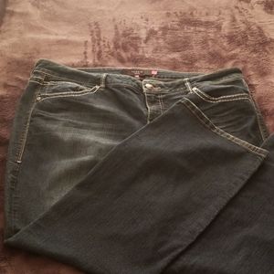 Torrid Denim Jeans